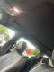 2025 Chrysler Pacifica Limited AWD