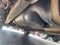 2010 Toyota Tundra Grade 5.7L V8